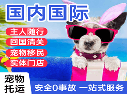 郴州北湖机场邮寄国际宠物托运 【国